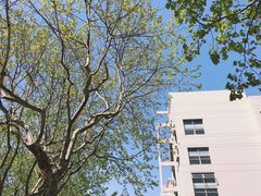 -上海第二工业大学(金海路校区)