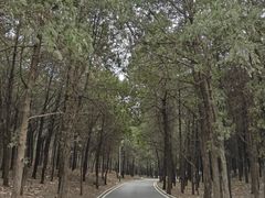 -浮来山风景区