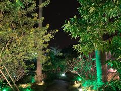 -花溪雨·森林餐厅(石基店)