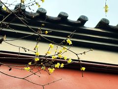 -钱王祠