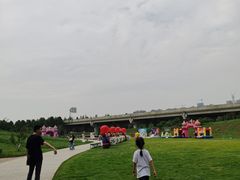 -秀丽东方