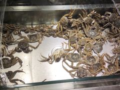 -欢乐牧场海鲜烤肉自助(牡丹园店)