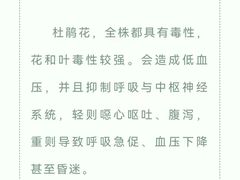 -瑞派申生动物医院·24H夜诊·国际动物医疗中心·骨外科(吴中路店)