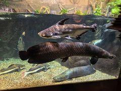 -太平洋海底世界