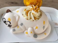 -猫小院猫主题咖啡厅(北锣店)