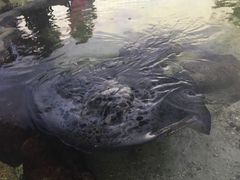 -鸿通城购物中心