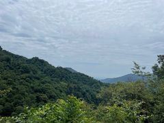 -青城山