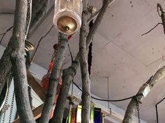 -maan coffee漫咖啡(通州店)