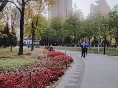 -莲花池公园