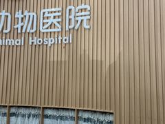 -联合动物医院(光谷诊疗中心)