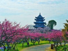 -上海海湾国家森林公园