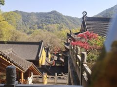 -野蔓果·山野菜(西湖景区·龙井茶田店)