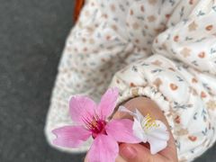 -韶关经律论国际酒店温泉