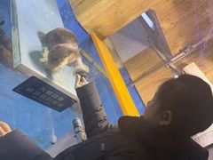 -大连圣亚海洋世界