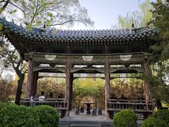 -迎泽公园