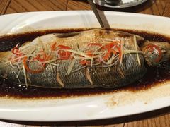 野生高白鲑鱼-阿罗新疆菜(人民广场店)