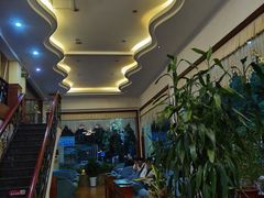 一楼风景-OLD TREE老树咖啡·西餐厅(台山人工湖店)