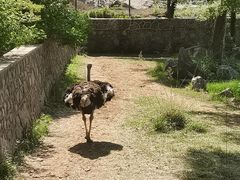 -沈阳森林动物园