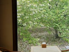 -东园小馆·早茶·淮扬小炒(宋夹城店)