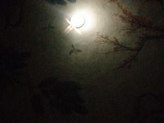 -纽斯洗浴SPA(三墩店)