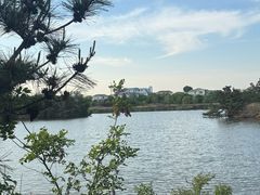 -日照海滨国家森林公园
