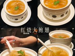 红烧大鲍翅-闽和南(深圳万象城店)