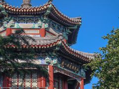 -颐和园