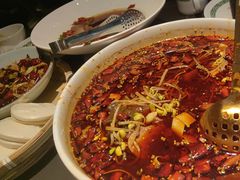 -三强鸽子(中原路店)