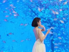 -合肥海洋世界