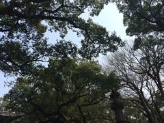 -普陀山风景名胜区-法雨禅寺
