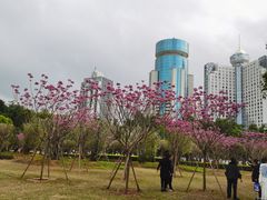 -万绿园