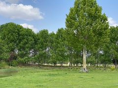 -安德鲁户外烧烤帐篷营地(马泉营店)