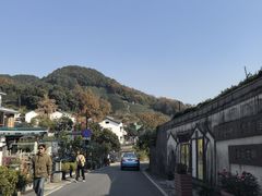 -龙井村