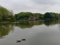 -海珠湖公园