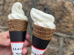 -富豪雪糕车流动点(尖沙咀店)