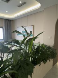 点击看大图 -LIHER北京丽合医疗美容医院