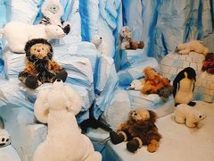 -济州岛泰迪熊博物馆