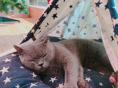 -iF摄影•全家福•证件照•形象照(南山店)