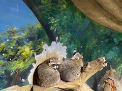 -绿色星球动物主题公园