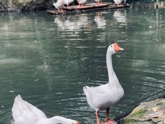 -兰亭风景区
