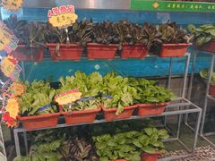 -东来顺饭庄(西直门店)