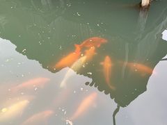 -纯K(打浦桥店)