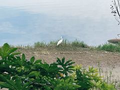 -美兰湖景区