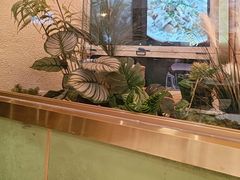 -东北小板凳地摊烧烤(泰来街店)