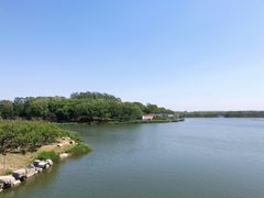 -大兴滨河森林公园