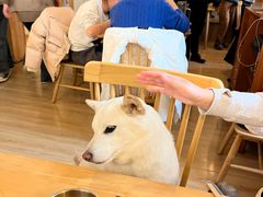 -柴の食堂·日式家庭料理·熊之肆(大学路店)