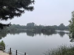 -日照海滨国家森林公园
