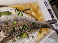 -京城小江南·北京烤鸭·江南土菜·白鱼(中关村店)