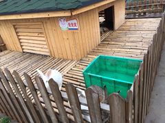 -上海崇明金茂凯悦酒店