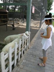-上美四季动物农场